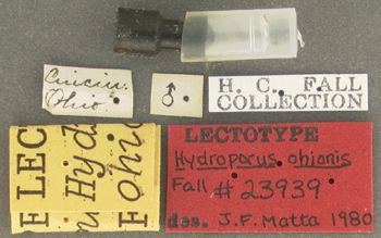 Media type: image;   Entomology 23939 Aspect: labels